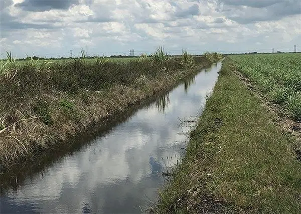 Agriculture Pump Applications
