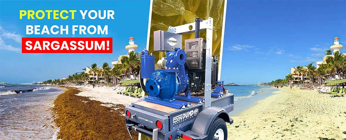 protect-your-beach-from-sargassum